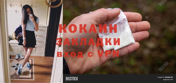 apvp Арсеньев
