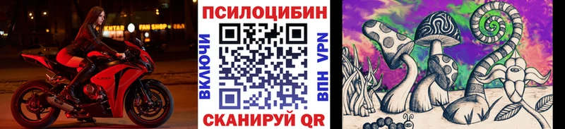 где купить наркоту  Заволжск  Псилоцибиновые грибы Psilocybine cubensis 